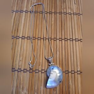 Elegant 925 Silver Nautilus Shell Pendant Necklace